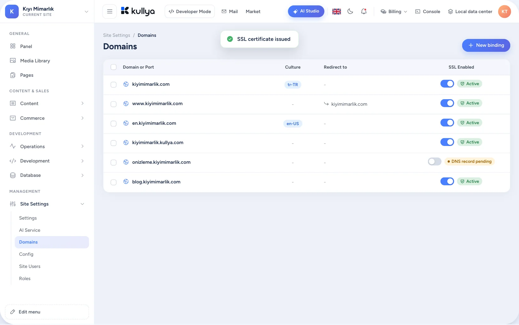 Domain binding and visitor logs